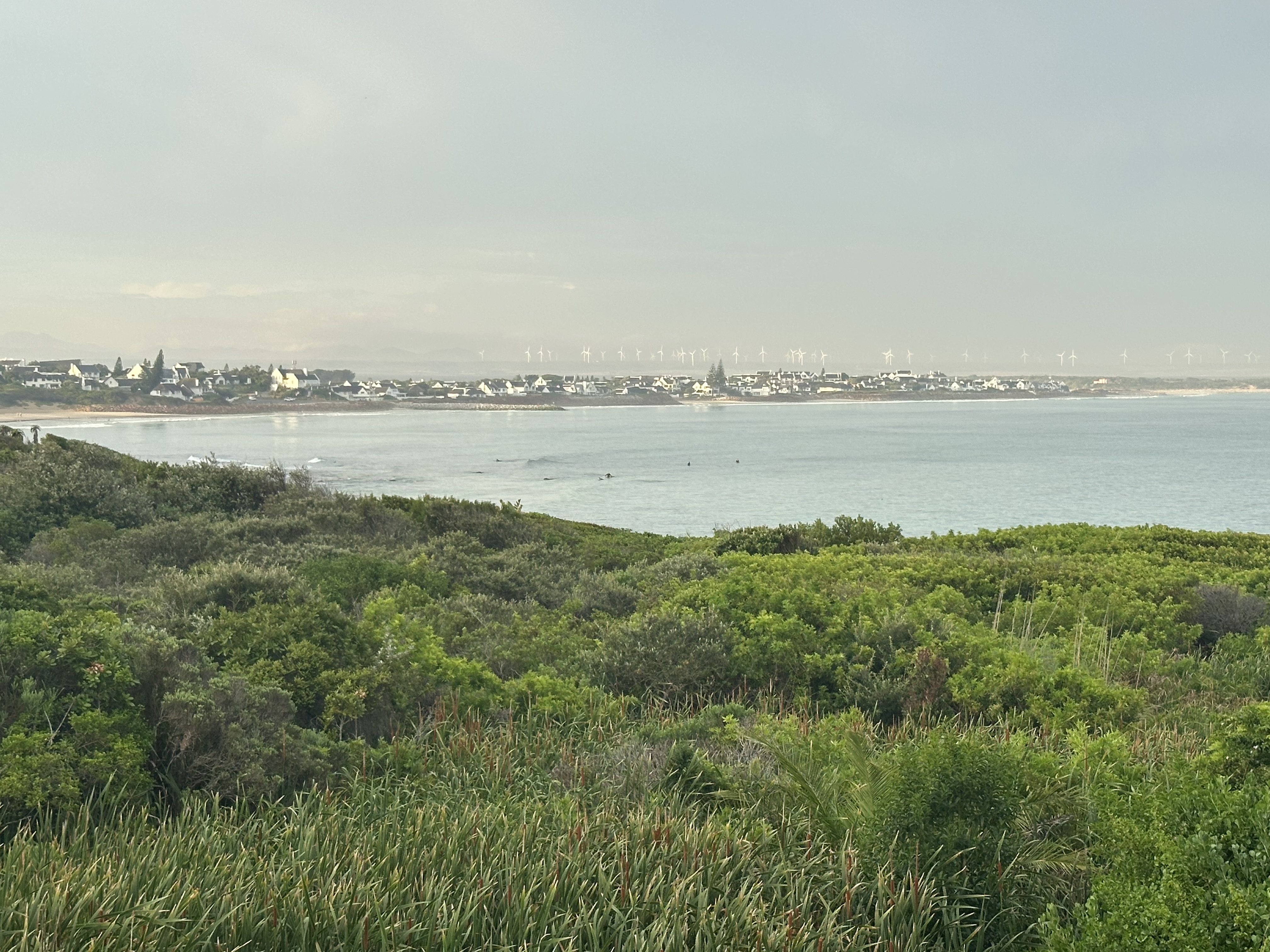 Coastal landscape